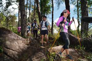 BIB: 
                            <button type="button" onclick="openModal(18943036)" class="btn btn-primary btn-sm float-right btn-popup" data-toggle="modal" data-target=".modal-high-quality">
                        <i class="fas fa-shopping-cart"></i> Add to Cart
                    </button>
                                            <button type="button" onclick="isThisMe(18943036, true)" class="btn btn-success btn-sm float-right btn-popup btn-isme hidden" data-toggle="tooltip" data-placement="bottom" title="นี่คือรูปของคุณใช่ไหม คลิกที่นี่เพื่อเอาเข้าอัลบั้ม">
                        <i class="fas fa-plus"></i> Add to album
                    </button>
                    <button type="button" onclick="isThisMe(18943036, false)" class="btn btn-warning btn-sm float-right btn-popup btn-isnotme hidden">
                        <i class="fas fa-ban"></i> Remove from album
                    </button>